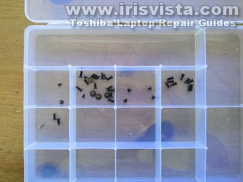 Organize screws